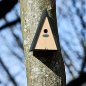 ���Ѳ����ΥС��ɥϥ�����ESSCHERT��