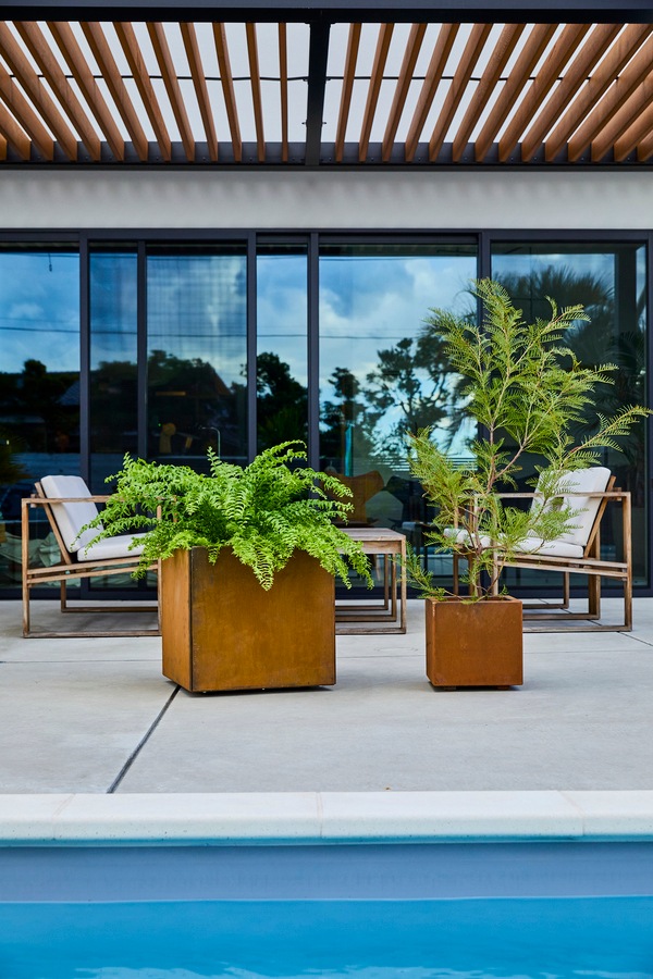 Patina �쥤���ɡ��饦��ɥץ�󥿡�600