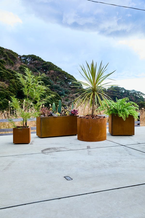 Patina �쥤���ɡ��饦��ɥץ�󥿡�600