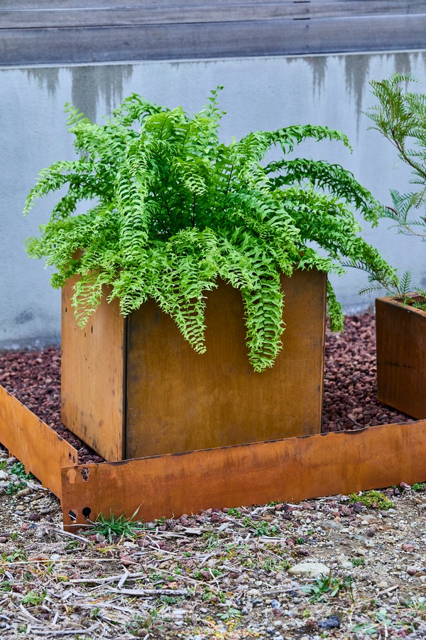 Patina �쥤���ɡ��饦��ɥץ�󥿡�600