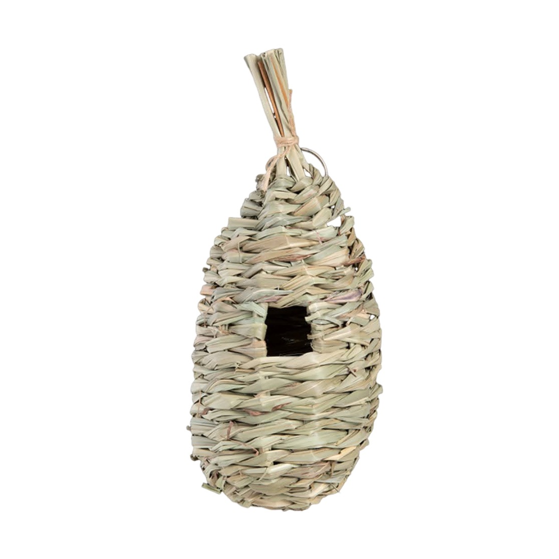 ���Υͥ��ƥ��󥰥Хå��ʥ��������ޡˡ�ESSCHERT��