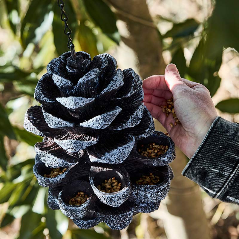 ���ܤä���ΥС��ɥե���������ESSCHERT��