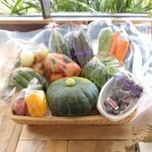 【農産物直売所運営協議会（朝どり市）】<br>朝どり市の旬野菜