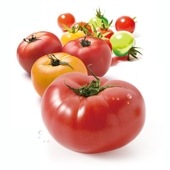 【馬舩とまとファミリー】<br>馬舩とまと詰め合わせ<br>●8月から順次発送<br>※限定50セット<br>●好評により販売終了となりました