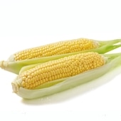 【ヒバコーン】<br>西城の朝採りトウモロコシ<br>※限定50セット<br>●ご好評につき販売終了