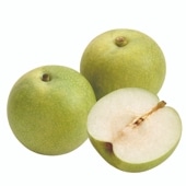 【直売所かねふじ】<br>西城の梨〈廿世紀梨〉4kg<br>数量限定20セット<br>●ご好評につき販売終了。