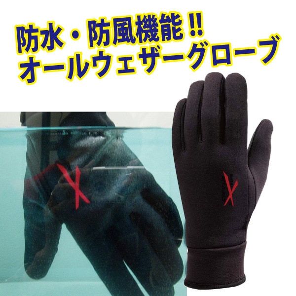 【在庫限り】オールウェザーグローブ
