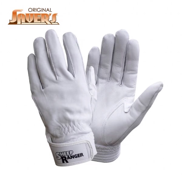 アテ無　シープレインジャー