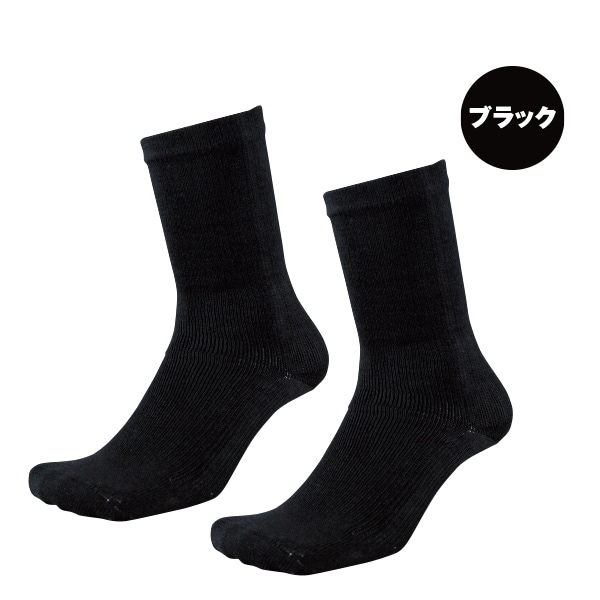 強力消臭デオセルソックス2足セット