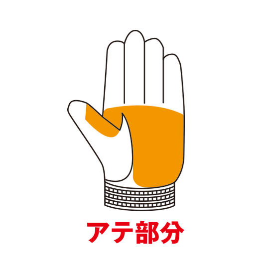 トンボレックス C-308W｜TONBOREX手袋｜セイバーズ公式ECサイト
