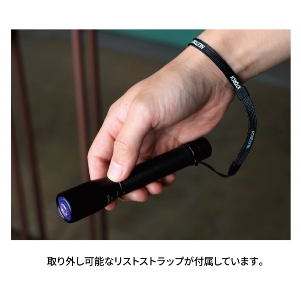 C2 UV Flashlight【Nextorch】｜Nextorch（ネクスト―チ）｜セイバーズ