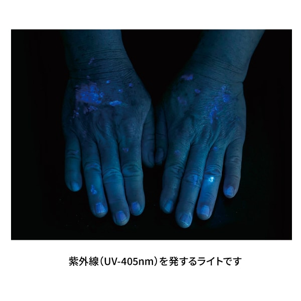 C2 UV Flashlight【Nextorch】｜Nextorch（ネクスト―チ）｜セイバーズ