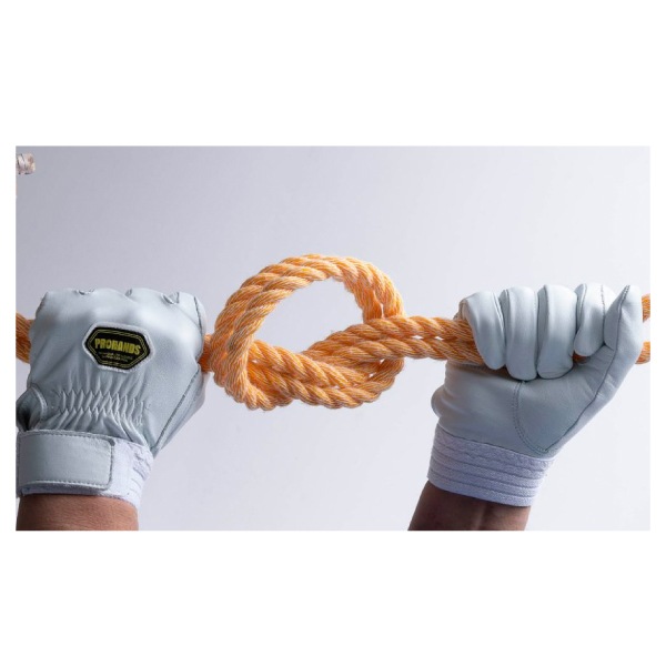 【在庫限り】プロハンズ CN-323