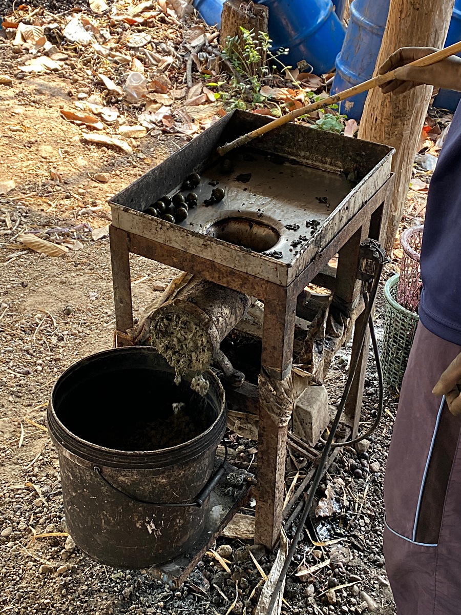 �ޥ��륢����֥�å��Υ⡼�ۡ����BFS-202-01��