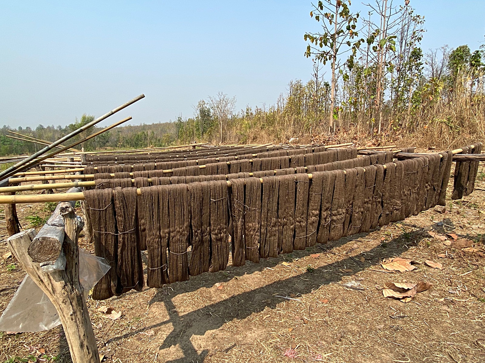 �ޥ��륢����֥�å��Υ⡼�ۡ����BFS-202-01��