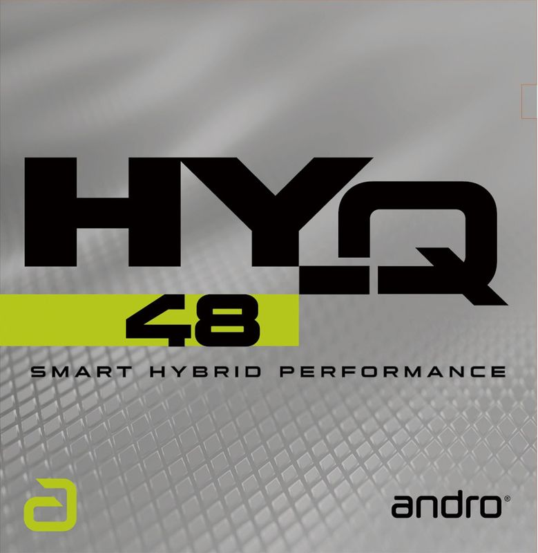 HY-Q 4８