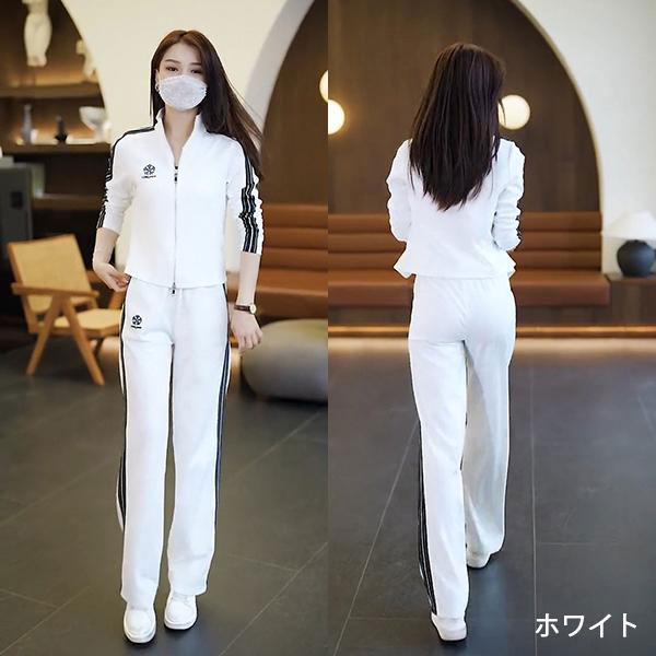 ǥ ɥ饤 㡼 åȥå 硼Ⱦ åץå ȥåץ ѥ  ݡĥ 롼० å ȥ꡼  