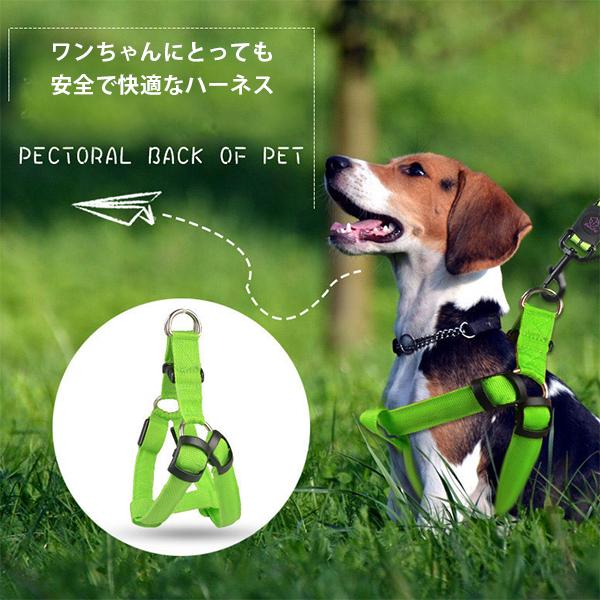 ¨ǼLED ѥϡͥ ƹ USBż LEDȯ  ڥå   ɻ  Ŭ Ф  襤  ̵