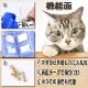 ¨Ǽۥڥå ڥåȥå ǭ ʡ֥饷  ڥåȥ֥饷 ޥå ȴк ӤŤ ξ̥ơ ͥդ 롼ߥ ֥å ̵