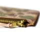 Button Works Camouflage Wallet