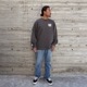 VANS MTE Fly In The Web Long Sleeve T