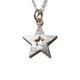 CALIFOLKS Star Donuts Inlay Necklace