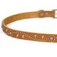HTC Belt #SN-32 Studs