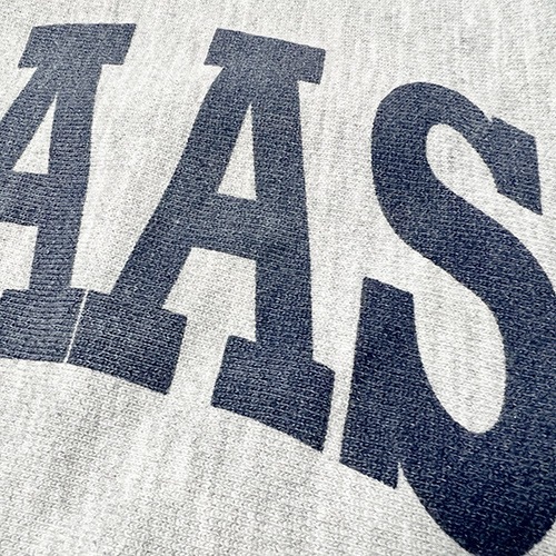 CHAMPION Reverse Weave Crew Sweat No.8