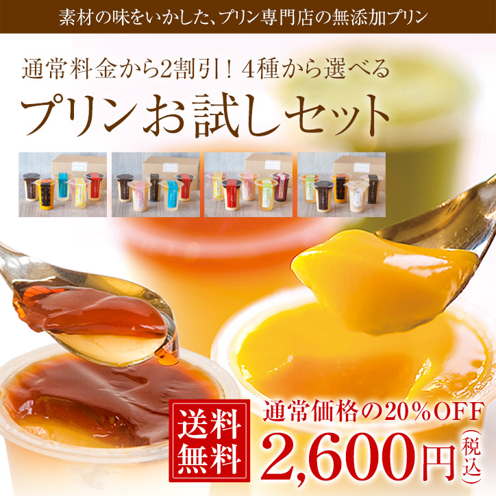 【送料無料】プリンのお試しセット 夏バージョン（おひとり様何度でもご利用可！） 　※熨斗・包装不可