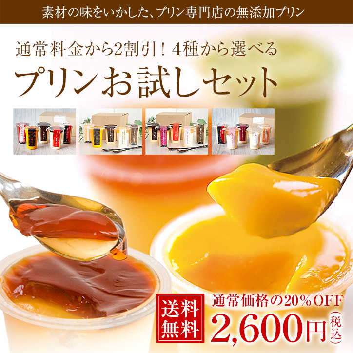 【送料無料】プリンのお試しセット 夏バージョン（おひとり様何度でもご利用可！） 　※熨斗・包装不可