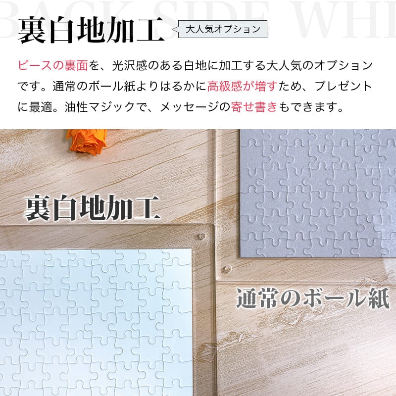 天文学者 ヨハネス・フェルメール ジグソーパズル アートパズル パズル