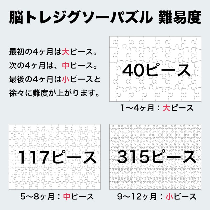 脳トレジグソーパズル（名画）