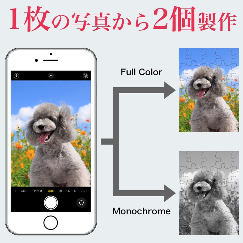 カラー モノクロ 白黒 1枚の写真から2個のジグソーパズル ★ニコイチパズル Sサイズ★