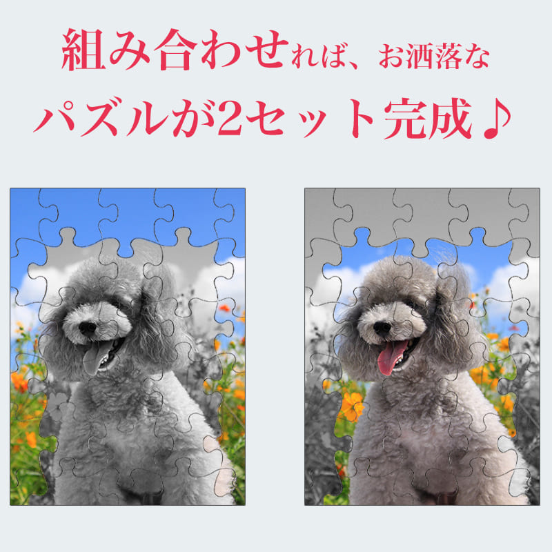 カラー モノクロ 白黒 1枚の写真から2個のジグソーパズル ★ニコイチパズル Sサイズ★