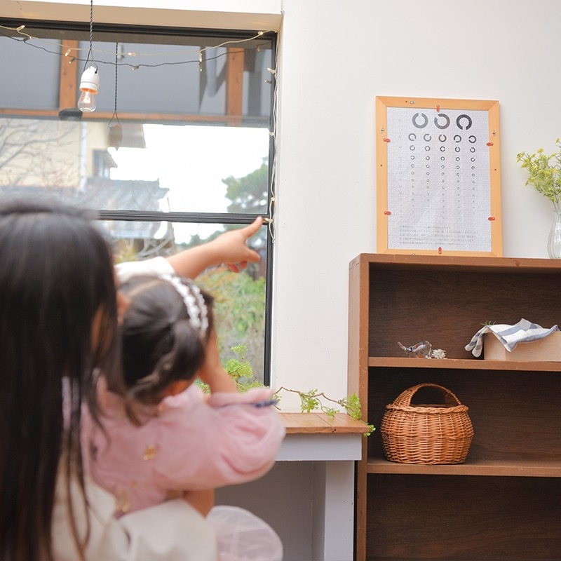 視力 目 眼 写真 オーダーメイド オリジナルジグソーパズル 視力検査パズル ★Lサイズ★