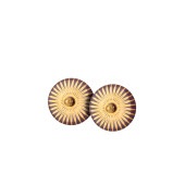 SPLASH stud【BORDEAUX / GOLD】