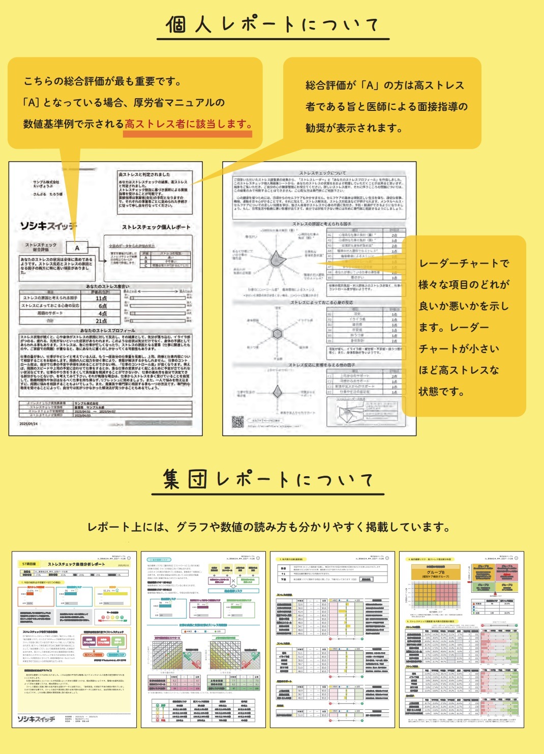 【紙版】従業員21～30人用【定期購入】