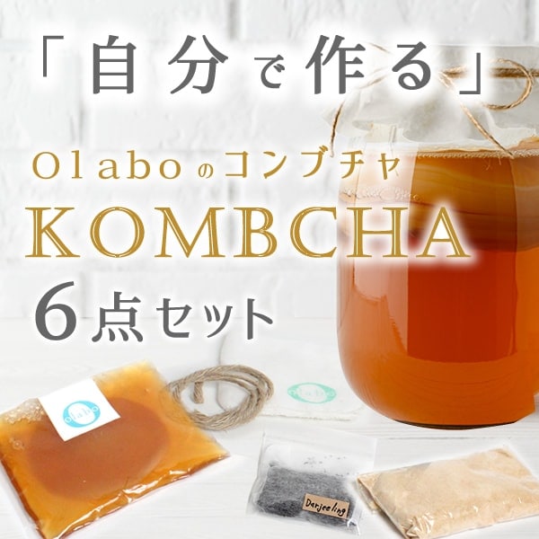 6点set 】すぐ作り始められる。コンブチャ スタートキット