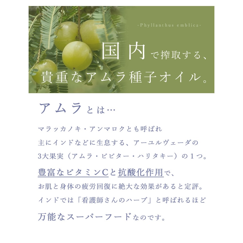��ǯ������Υǥꥱ���ȥ��������� �� �и� 2�ġܥ�����
