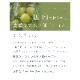 ��ǯ������Υǥꥱ���ȥ��������� �� �и� 2�ġܥ�����