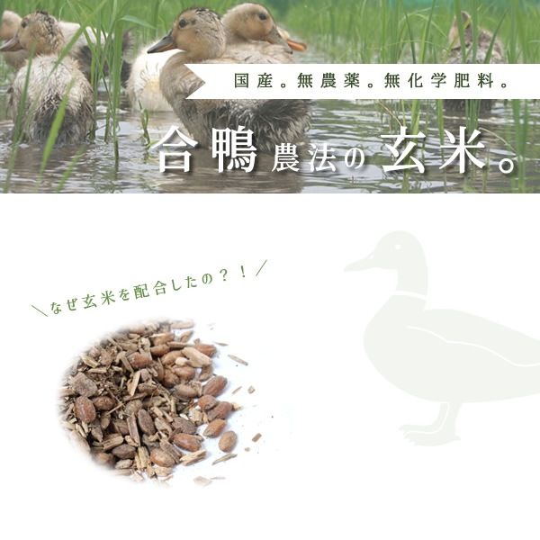 2�ޥ��åȢ� �� ̵���� ̵��������  �� �Ϥ����� ��