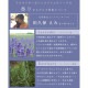 �ǥꥱ���ȥ�����δ����к��� �� �и��ܥ�����SET