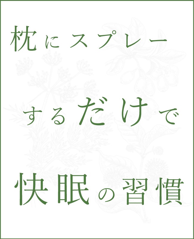 񻺡˥åǺβ̲ ץ졼  ֥