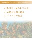 񻺡˥åǺβ̲ ץ졼  ȥ饹֥