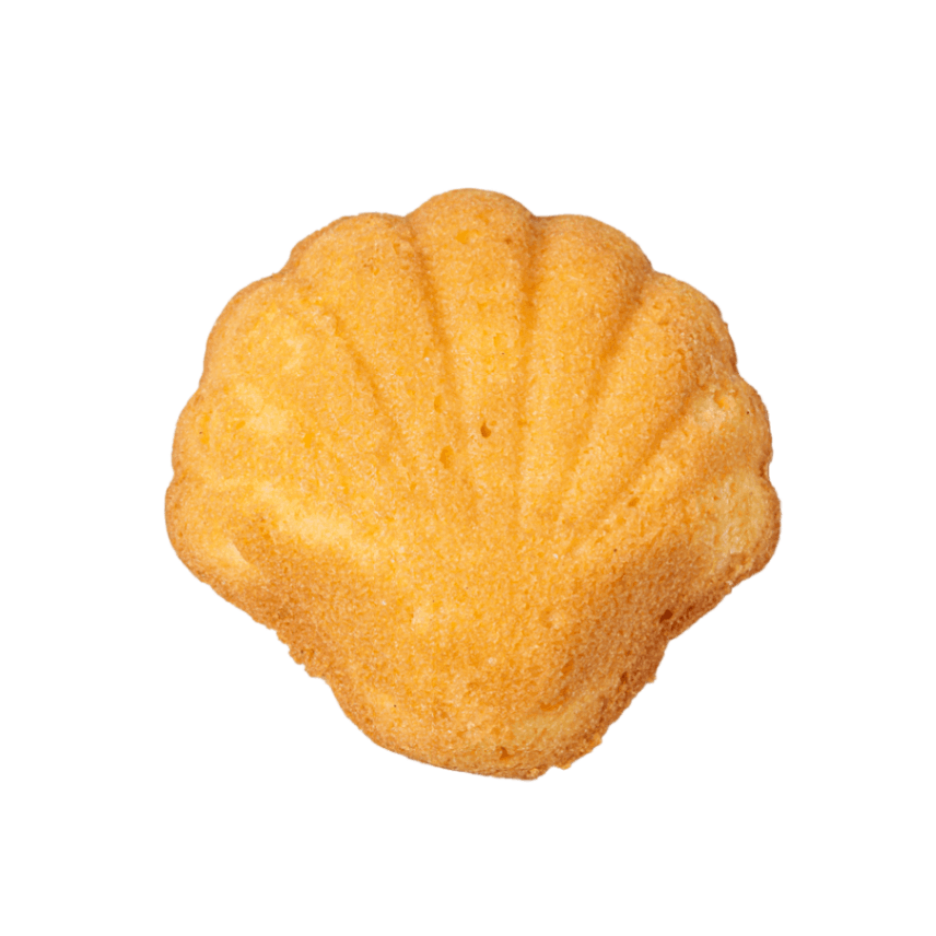 オレンジマドレーヌ (1個入)