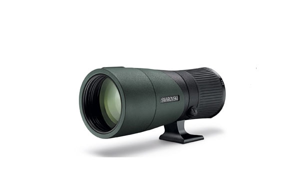 25-60��65 ��ʪ��󥺥�˥åȡ�������ե�����