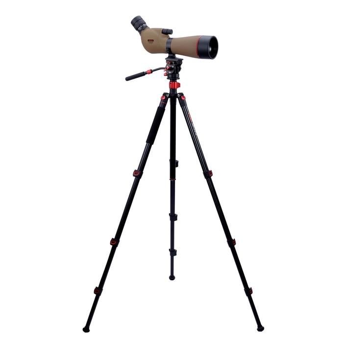 ������III ED80 ZOOM M-174 ���ӥ��åȡ�VIXEN