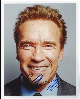 �����Υ�ɡ�������ĥ��ͥå�����ľɮ�����ȥ����