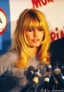�֥ꥸ�åɡ��Х�ɡ�/Brigitte Bardot