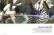 ���̾��ǡ�SCREEN �� vol.8�������ʤǴѤ�MAPPA��MAPPA 15th anniversary�ˡ����̵�ư�� THE GHOST IN THE SHELL